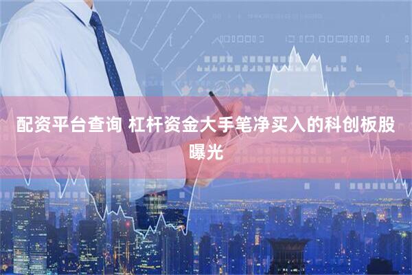 配资平台查询 杠杆资金大手笔净买入的科创板股曝光